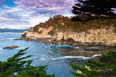 Point Lobos Russ Bishop Photography Nature Photo Blog