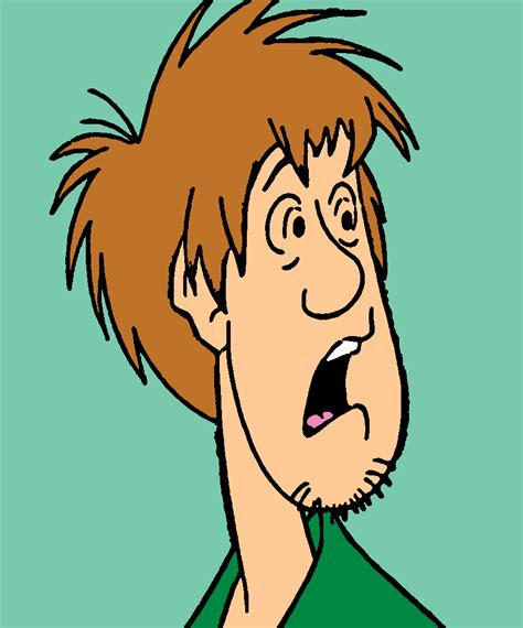 Scared Shaggy By Thehylianhaunter On Deviantart