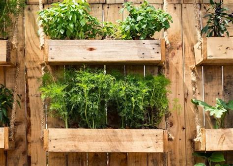 The Best Places To Put A Vertical Garden With Examples Smarter Home