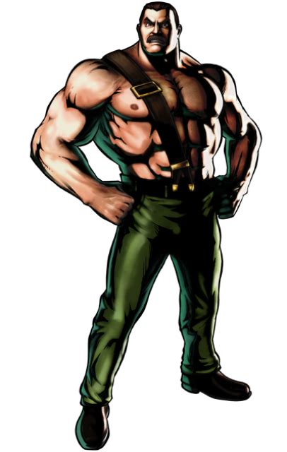 Mike Haggar Super Smash Bros Wrestling Wiki Fandom