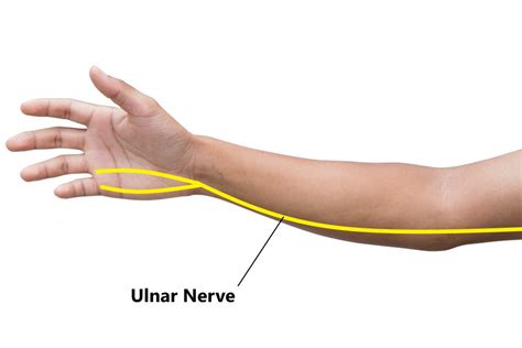Cubital Tunnel Syndrome My Family Physio