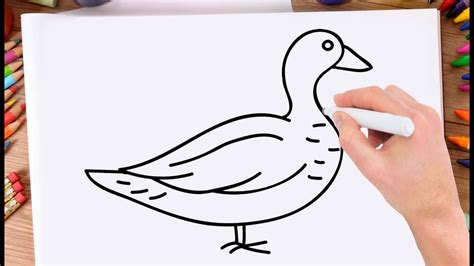 How to draw a duck. How to Draw Duck Learn drawing a Duck Very Easy and Step ...