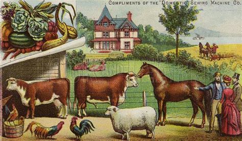 Farm House And Animals Stock Image Look And Learn