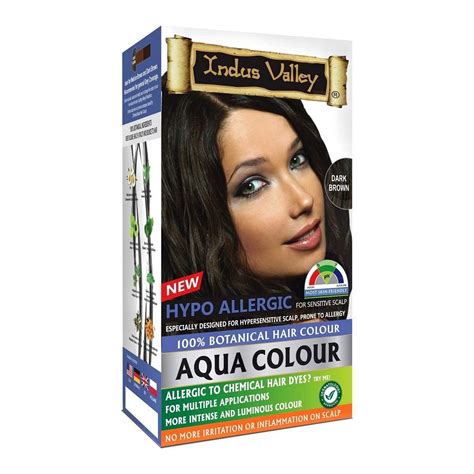 Indus Valley Aqua Hair Color Dark Brown Gray Ubuy India