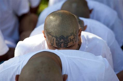 El Salvador Begins Mass Trial Of Alleged Ms 13 Gang Members The