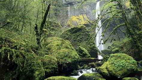 Elowah Falls Columbia River Gorge Oregon Moss Trees Waterfalls