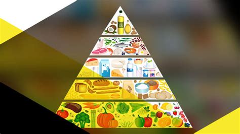 The Food Pyramid And Dietary Guidelines Are Wrong