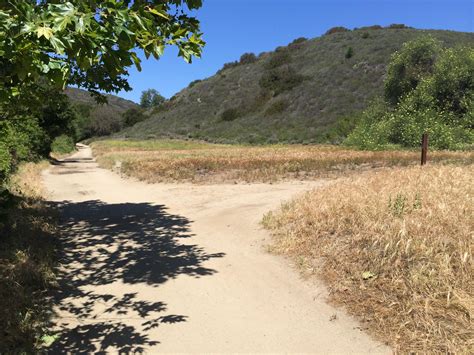 Wood Canyon Trail Photo Singletrackscom