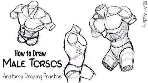 How To Draw Male Torsos Anatomy Drawing Practice Youtube