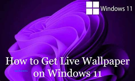 How To Get Live Wallpapers On Windows 11 Techowns