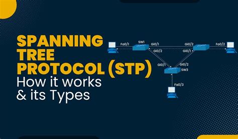 What Is Spanning Tree Protocol Stp And How It Works