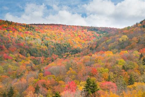 Fall Foliage In The Mountains Of West Virginia Stock Photo Image Of