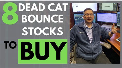 8 Dead Cat Bounce Stocks To Buy Youtube