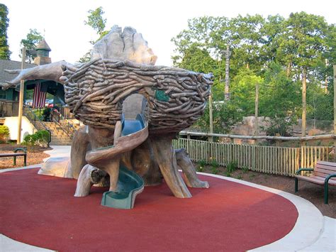 Elmwood Park Zoo, Bald Eagle Exhibit