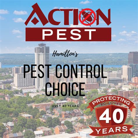 How To Choose The Right Pest Control Company In Hamilton Action Pest