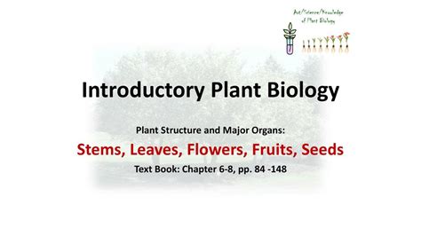 Introductory Plant Biology Ppt Download