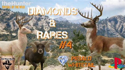 Diamond Rares Montage Console Thehunter Call Of The Wild Youtube