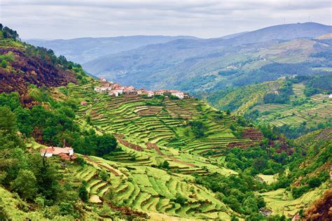 Reviews Portugal Minho And The Douro Valley Country Walkers