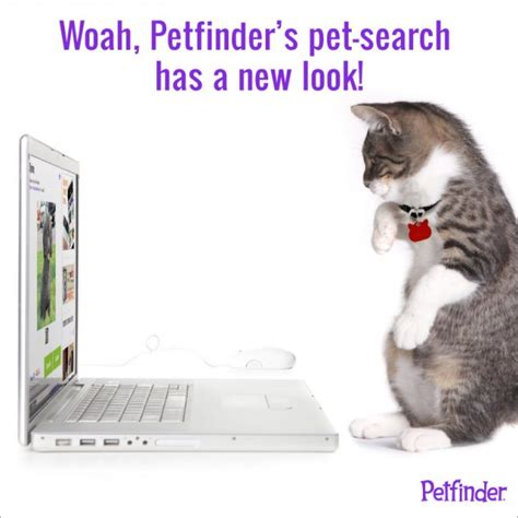 Petfinders Pet Search Has A New Look Petfinder