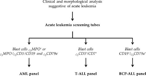 Diagnostic Workup For Immunophenotypic Characterization Of Als Aml