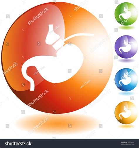 Gastric Bypass Stock Vector Royalty Free 50916664