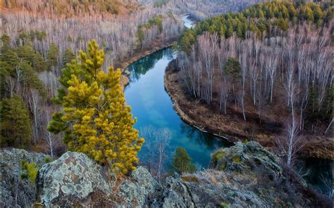 Autumn Landscape Mountain River In Siberia Rocks Trees And Fallen