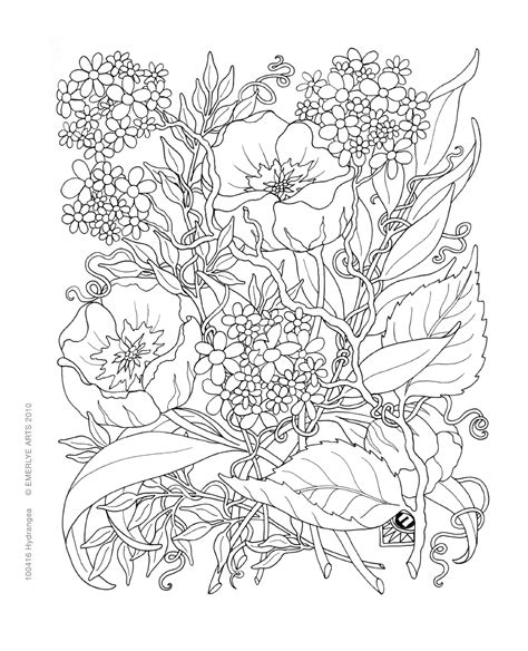 Printable Secret Garden Coloring Pages Printable Word Searches