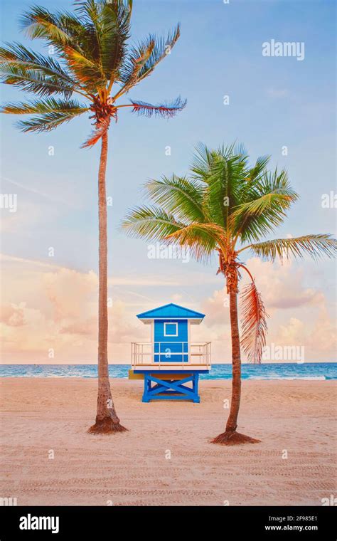 Tropical Florida Landscape With Palm Trees And Blue Lifeguard House