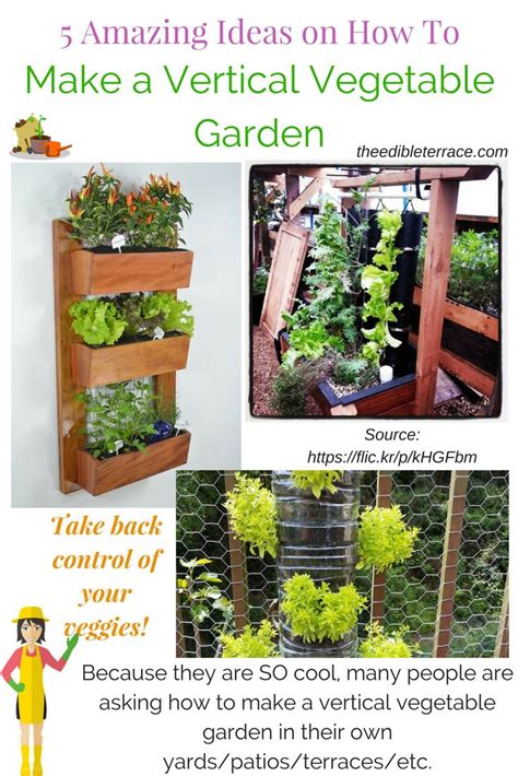 5 Amazing Vertical Vegetable Gardening Ideas And How To Easily Start