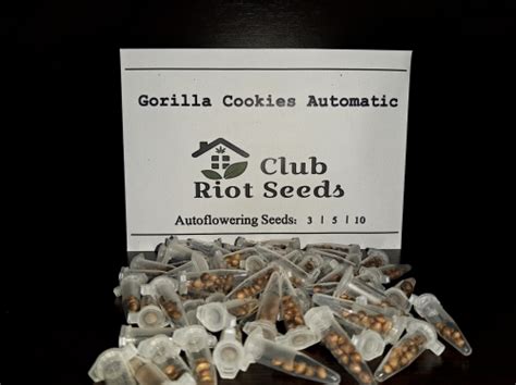 Gorilla Cookies Automatic Strain Info Gorilla Cookies Automatic Weed