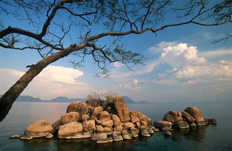 The Fishy Mystery Of Lake Malawi Science Smithsonian Magazine