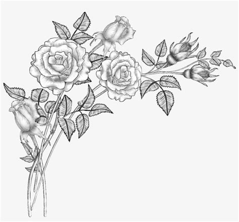 In my line of work, clients love it when i personalize articles and topics by images. Floral Design Line Art Drawing Sketch - Flower Brushes ...