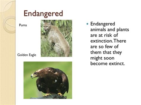 extinct endangered threatened animals powerpoint   computer lab