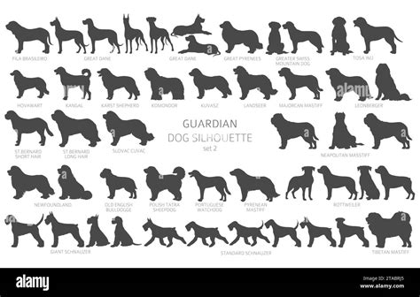 Dog Breeds Silhouettes Simple Style Clipart Guardian Dogs And Service