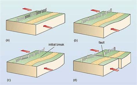The worksheet is an assortment of 4 intriguing pursuits that will enhance your kid's knowledge and abilities. Earthquakes: 2 Why do earthquakes occur? - OpenLearn ...