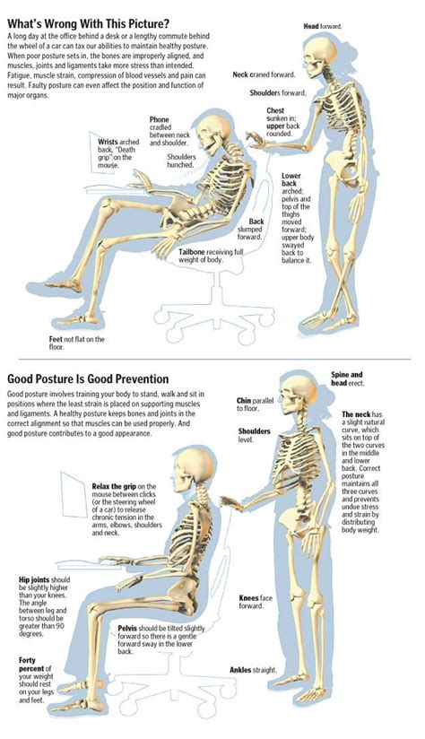 52 best images about ergonomics on pinterest muscle knots good posture and standing desks
