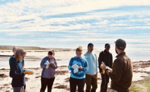 Zonation In The Salt Marsh Environmental Science Semester