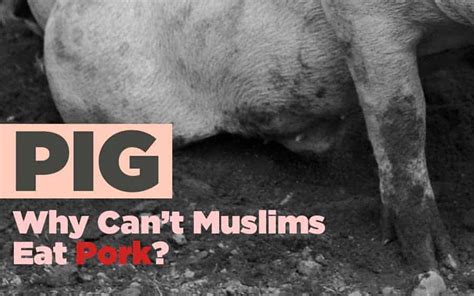 According to religious resources regarding halal and haram meat, there are general rulings and numerous standards;. Why is Pork Haram? Ever Wondered Why It's Banned in Islam?