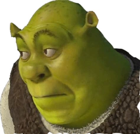 Meme Shrek Cara Memes Divertidos