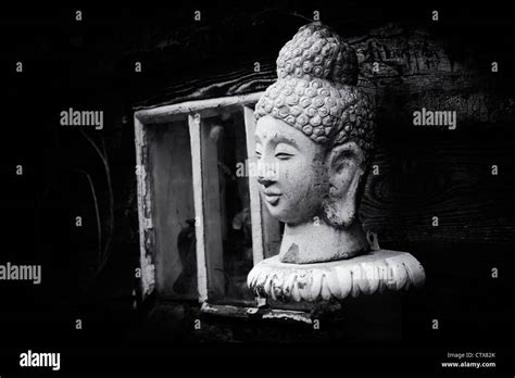 Buddha Head Garden Statue Monochrome Hi Res Stock Photography And