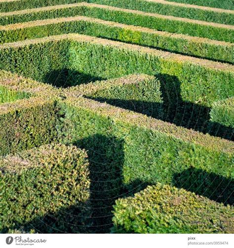 To Err Is Human Maze Hedge A Royalty Free Stock Photo From Photocase