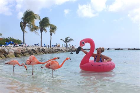 Everything You Need To Know About Flamingo Beach Aruba