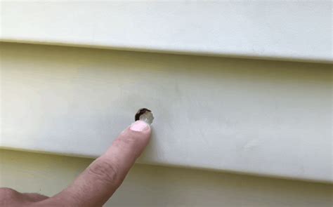 How To Repair Vinyl Siding Hole Patching Or Replacing