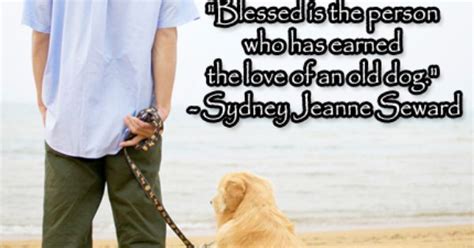 Blessed Is The Person Who Has Earned The Love Of An Old Dog