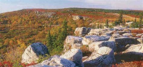 A dolly for moving is a must have. MNF extending Dolly Sods road closures | News, Sports ...