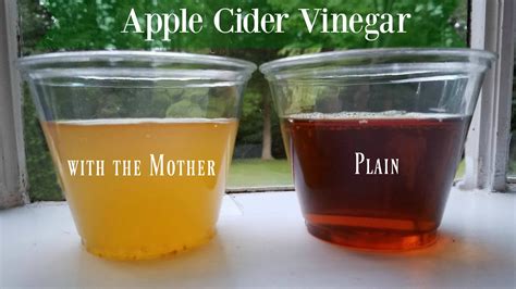 The Best Ideas For Apple Cider Vinegar With Mother Best Round Up