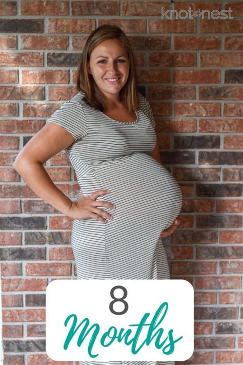 8 Months Pregnant Bumpdate Well Planned Paper