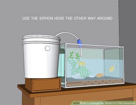 Shawn patrick ouellette/portland press herald via getty images. 3 Ways to Change the Water in a Fish Aquarium - wikiHow