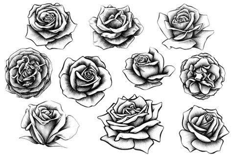 A tribal rose tattoo is very popular because of its enchanting beauty that left people spellbound. 10 Rose Illustrations | Realistic rose tattoo, Rose ...