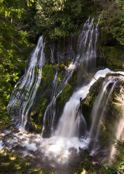 Panther Creek Falls Is Known As One Of The Most Impressive Waterfalls